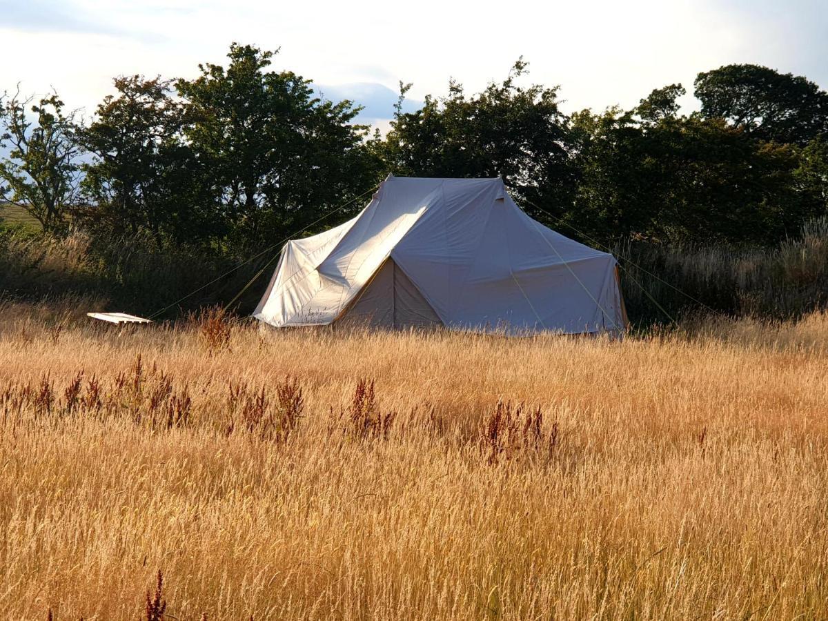 6M Emperor Tent Near Whitby With Log Burner Liverton Exterior foto